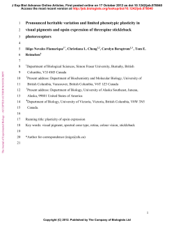 Pronounced heritable variation and limited phenotypic plasticity in