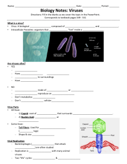 Biology Notes: Viruses