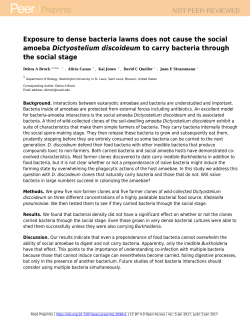 Exposure to dense bacteria lawns does not cause the social