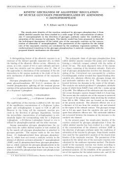 kinetic mechanism of allosteric regulation of muscle