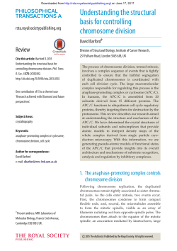 Understanding the structural basis for controlling chromosome division