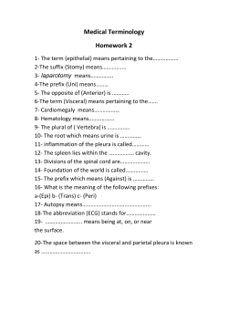 Medical Terminology Homework 2