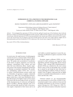 Expression of cyp1a protein in the freshwater clam Corbicula