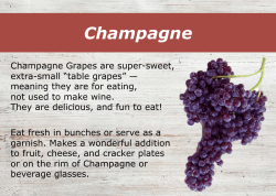 Champagne