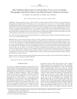 Most Northerly Observation of a Grizzly Bear (Ursus arctos) in Canada