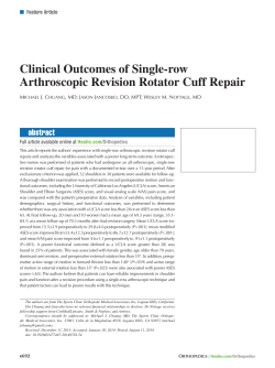 Clinical Outcomes of Single-row Arthroscopic Revision