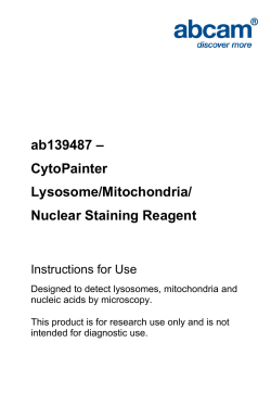 ab139487 &ndash; CytoPainter Lysosome/Mitochondria/ Nuclear Staining