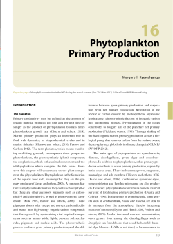 Phytoplankton Primary Production