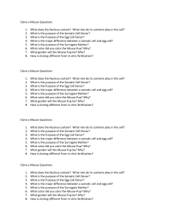 Clone a Mouse Questions