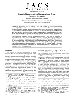 Atomistic Simulation of NO Dioxygenation in Group I Truncated