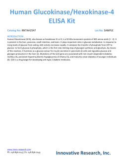 Human Glucokinase/Hexokinase-4 ELISA Kit