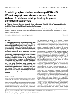 Crystallographic studies on damaged DNAs IV. N4