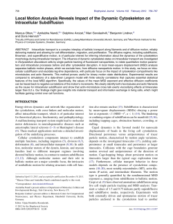 Local Motion Analysis Reveals Impact of the Dynamic Cytoskeleton