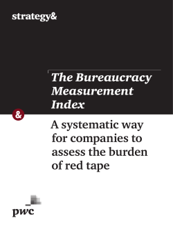 The Bureaucracy Measurement Index - Strategy