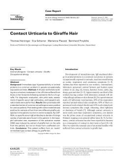 Contact Urticaria to Giraffe Hair