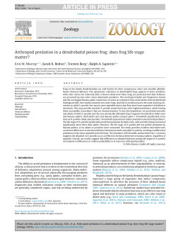 Arthropod predation in a dendrobatid poison frog: does frog life