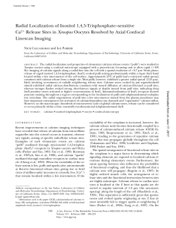 Radial Localization of Inositol 1,4,5