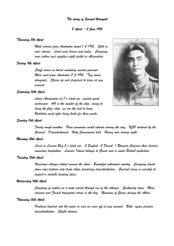 Diary of Samuel Weingott