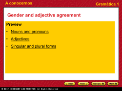 Nouns and pronouns, Adjectives, Singular and plural forms