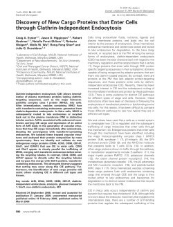 Discovery of New Cargo Proteins that Enter Cells through Clathrin