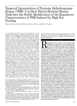Targeted Upregulation of Pyruvate Dehydrogenase