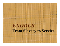 From Slavery to Service