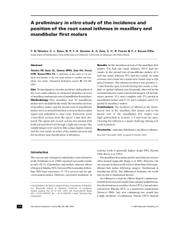 A preliminary in vitro study of the incidence and position of the root