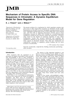 A Dynamic Equilibrium Model for Gene Regulation