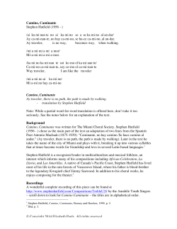 Camino caminante analysis
