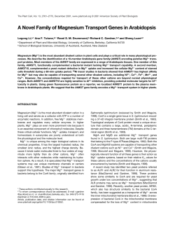 A Novel Family of Magnesium Transport Genes in