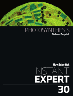 Photosynthesis - New Scientist