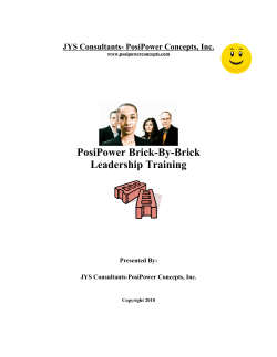 PosiPower Brick-By-Brick Leadership Training