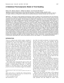 A Statistical-Thermodynamic Model of Viral Budding