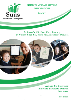 intensive literacy support interventions report