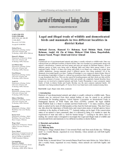 Legal and illegal trade of wildlife and domesticated birds and