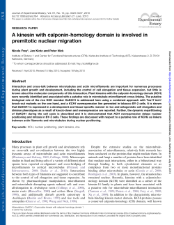 A kinesin with calponin-homology domain is involved in premitotic