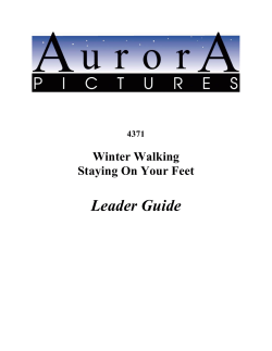 Leader Guide - Aurora Pictures