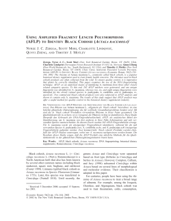 USING AMPLIFIED FRAGMENT LENGTH POLYMORPHISMS