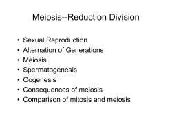 Meiosis--Reduction Division