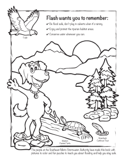 Print of the SEMSWA Activity Book