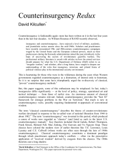 Counterinsurgency Redux