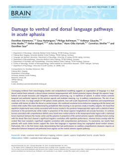Damage to ventral and dorsal language pathways in acute aphasia