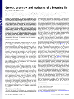 Growth, geometry, and mechanics of a blooming lily