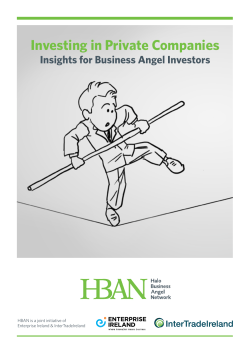 Investing in Private Companies Insights for Business Angel Investors