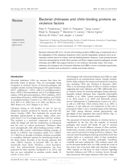 Bacterial chitinases and chitin-binding proteins as