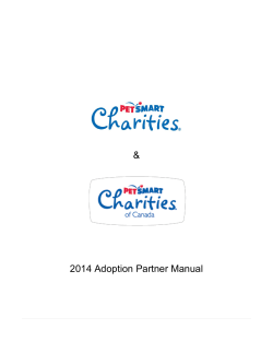 Corn Snake Care Guide