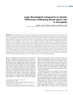 Large Neurological Component to Genetic Differences