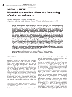 Microbial composition affects the functioning of estuarine