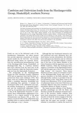 Cambrian and Ordovician fossils from the Hardangervidda Group
