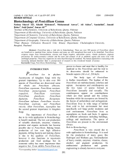 Biotechnology of Penicillium Genus
